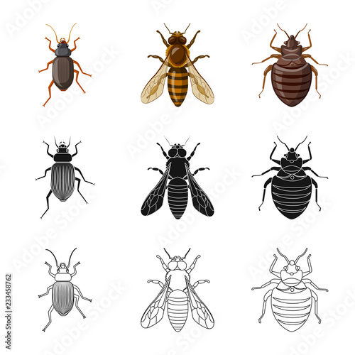 Isolated object of insect and fly icon. Collection of insect and element vector icon for stock. © Svitlana