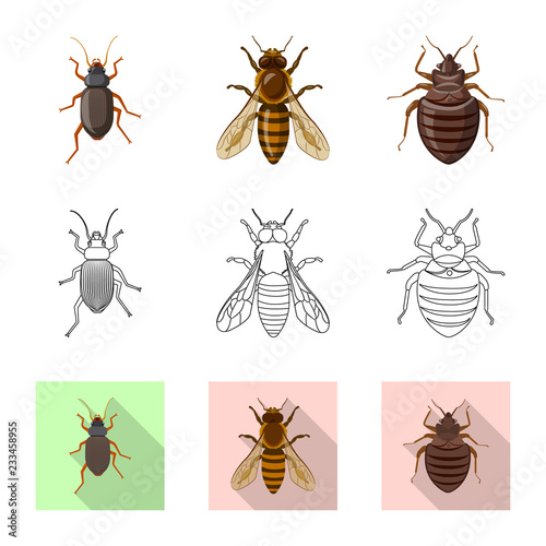 Vector illustration of insect and fly icon. Set of insect and element stock symbol for web.