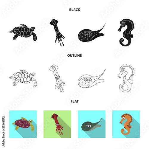 Vector illustration of sea and animal icon. Collection of sea and marine stock symbol for web.