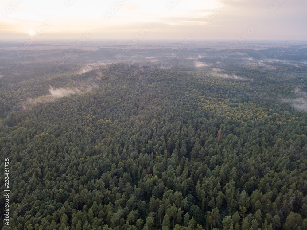 Aerial: Summer sunset over foggy forest Aerial: Summer sunset over foggy forest