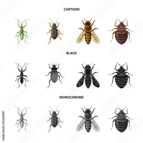 Isolated object of insect and fly icon. Set of insect and element vector icon for stock. © Svitlana