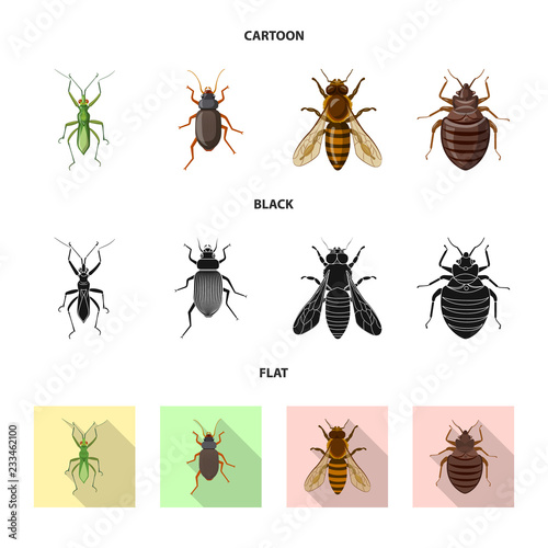 Vector illustration of insect and fly icon. Collection of insect and element stock vector illustration. © Svitlana