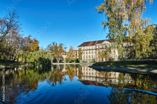 Trees in the park with Colorful autumn leaves on a pond and a tenement house in Poznan.
