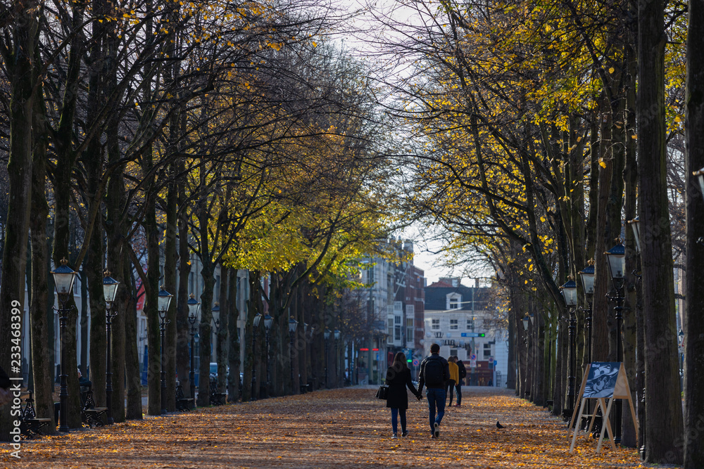 People walking down a lane of tall trees that have lost most of their autumn coloured leafs that are lying on the ground they walk on in a city park