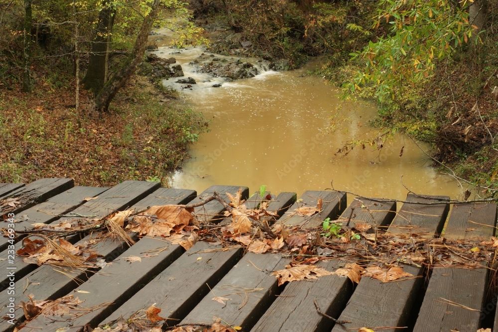 Autumn creek from old wooden bridge on rainy day Autumn creek from old wooden bridge on rainy day