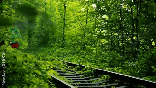 Train approaching in tunnel of love in forest in Ukraine photo