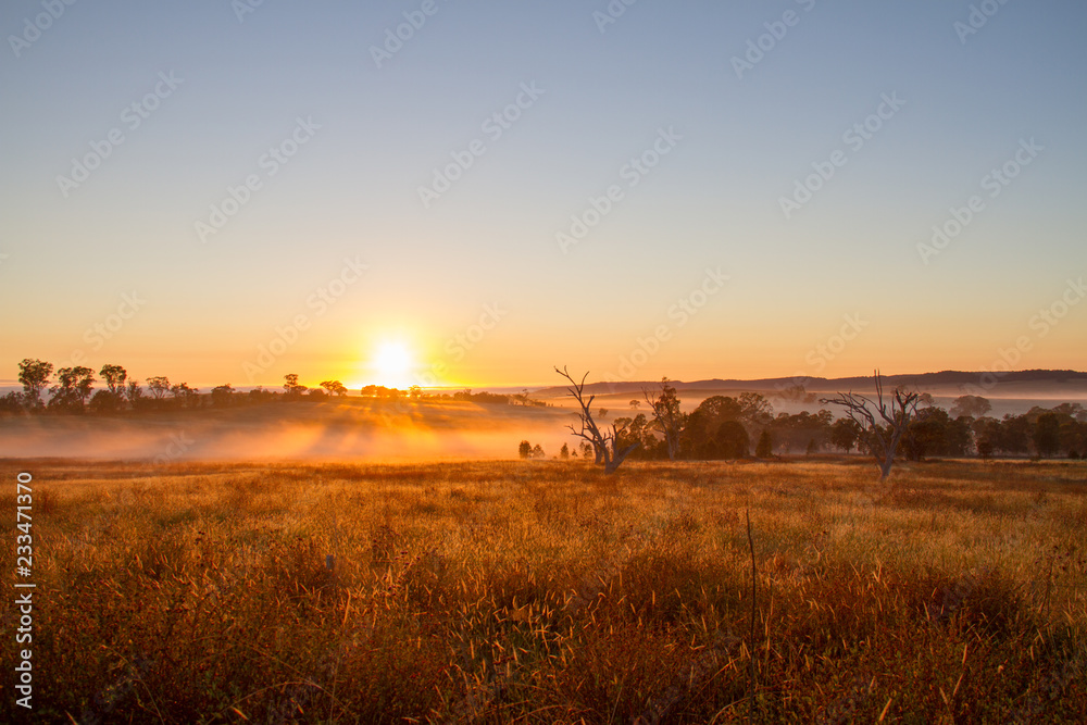 Fototapeta premium Cullenbone, New South Wales