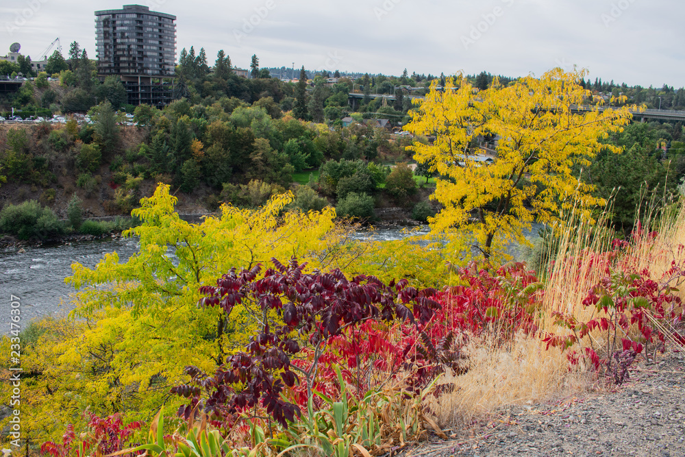 Obraz premium Fall Colors