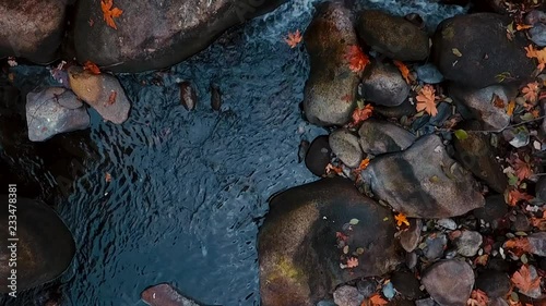 Close ups of deer creek in the sierra nevada photo