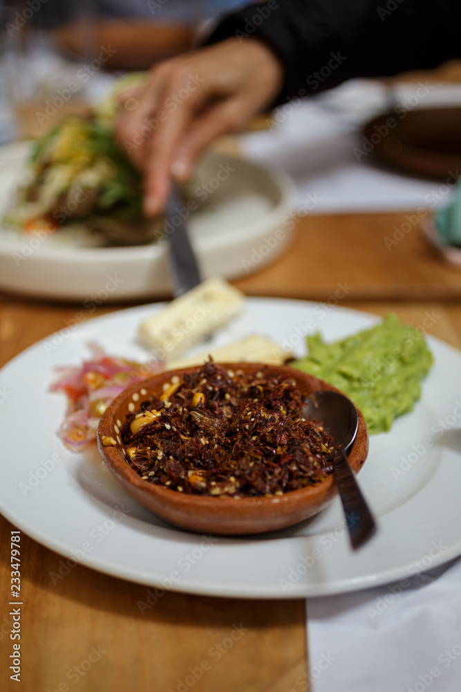 Chapulines Chapulines