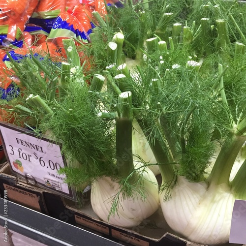 Fennel at Market