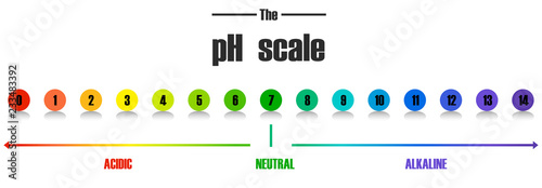 Science pH scale template