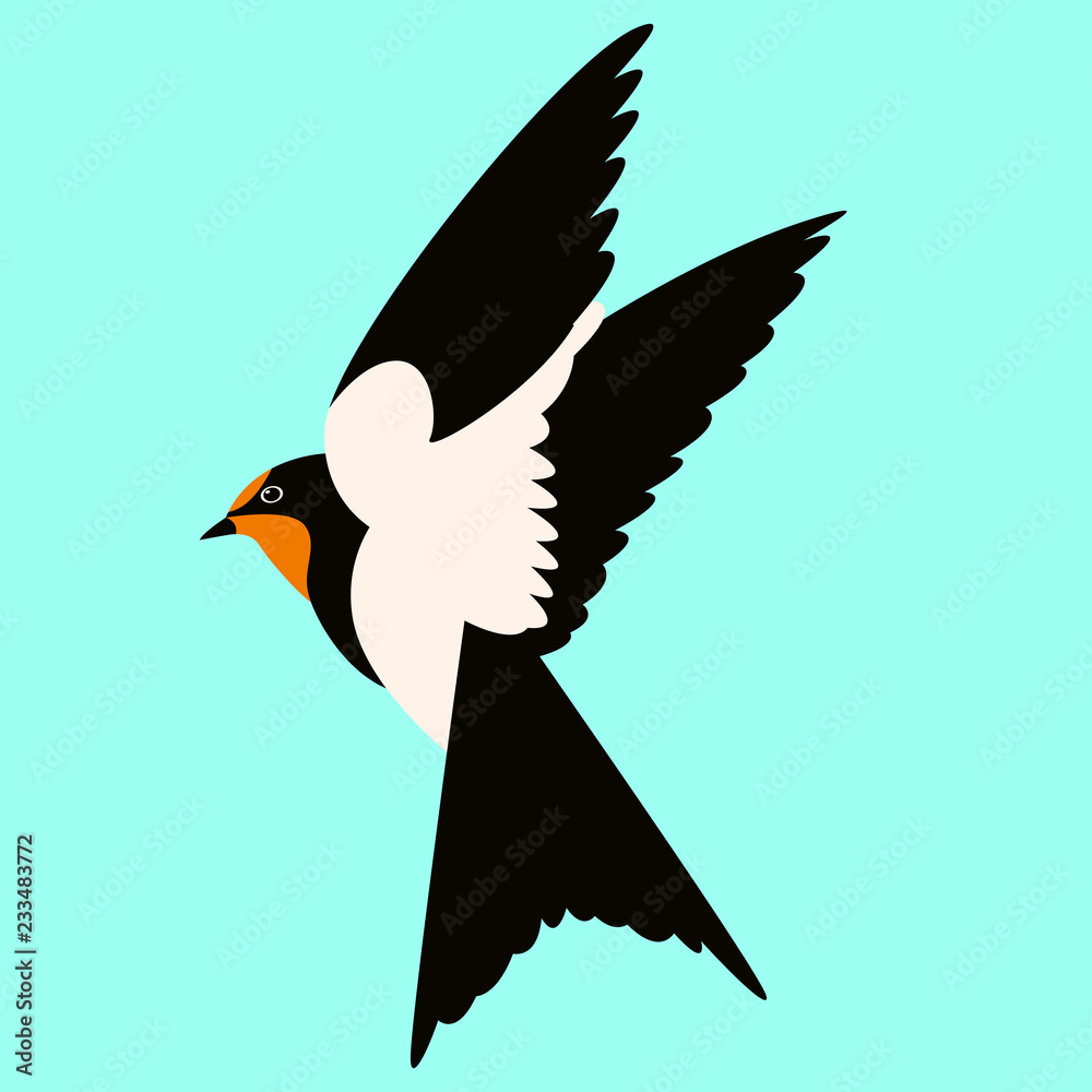 Fototapeta premium swallow vector illustration flat style profile view