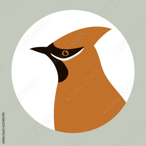  waxwings  vector illustration   flat style  profile