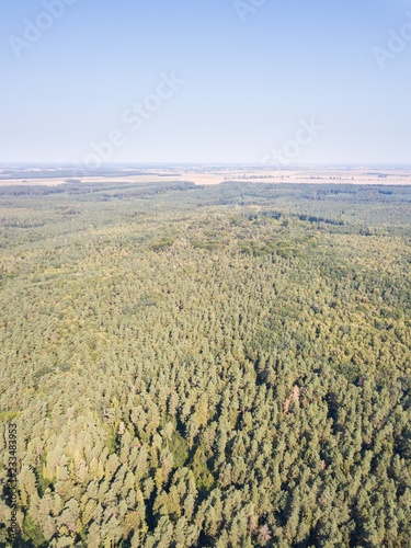 Forest seen from above. Beautiful drone landscape.