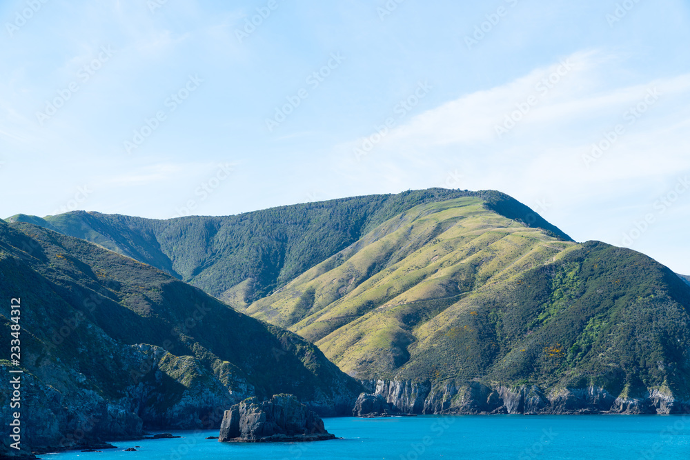 Obraz premium South Island coastline from ferry crossing