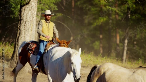 Running horses in Roundup on forest Cowboy Dude Ranch America photo