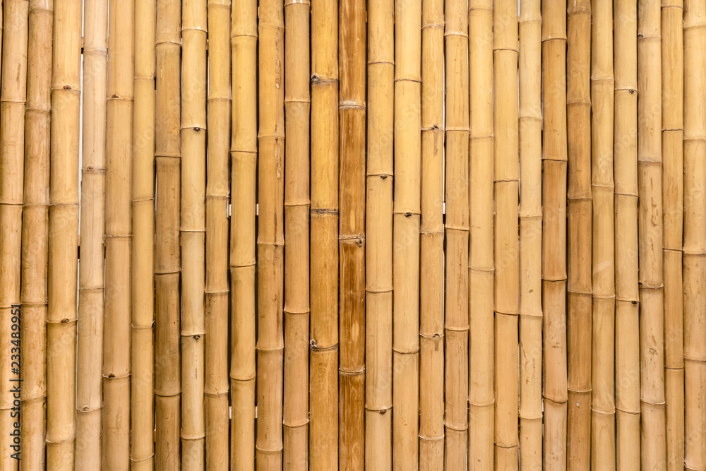 Dry bamboo wall mural would make a great natural wallpaper design, and  could even work as a repeating pattern to create an oriental style border  design. Stock Photo | Adobe Stock