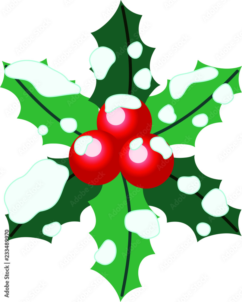 Cute Christmas English holly with snow Cute Christmas English holly with snow