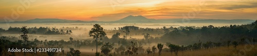 Panorama of Beautiful Sunrise Landscape of forest , pine tree , mountain in a misty early morning