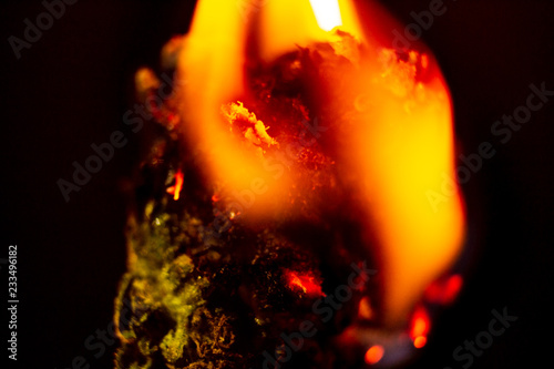 A marijuana bud consumed in flame, isolated macro close up.