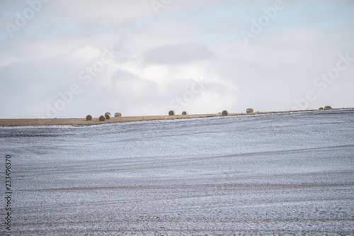 farmhouse landscape in winter with trees and a cloudy sky