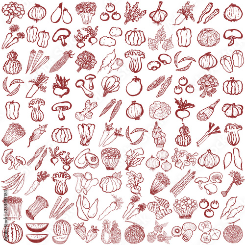 野菜　手書きアイコン　100種類
