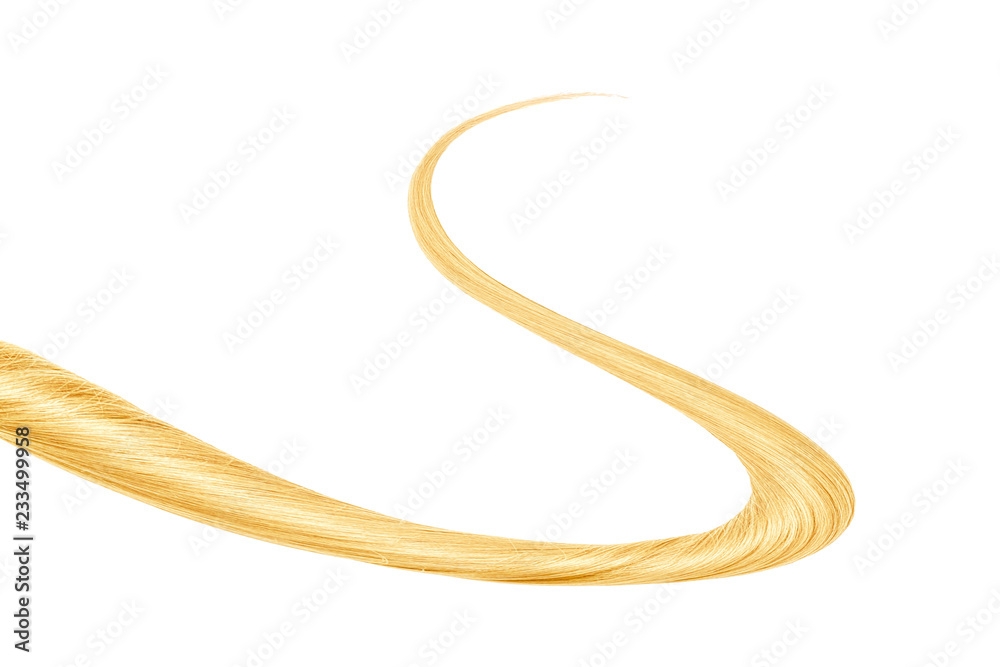 Thin curl of blond hair isolated on white background. Top-down view Thin curl of blond hair isolated on white background. Top-down view