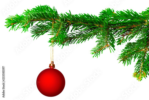 christmas ball on fir branch isolated on white background