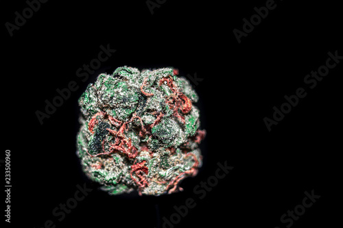 Obraz na płótnie An isolated bud with red hairs similar to yarn and round in shape. w salonie