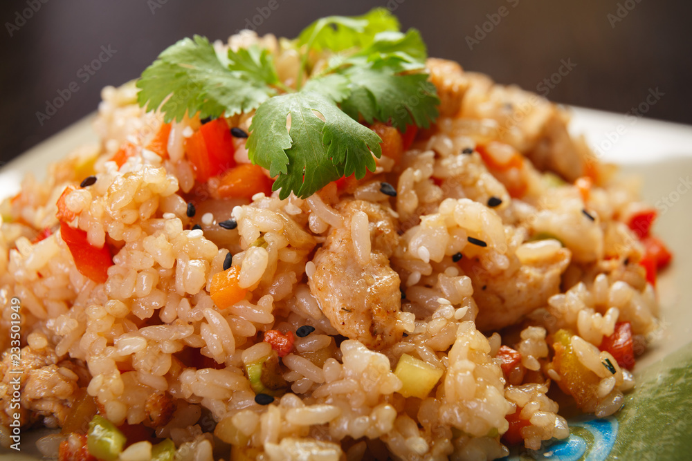rice with chicken and vegetables rice with chicken and vegetables