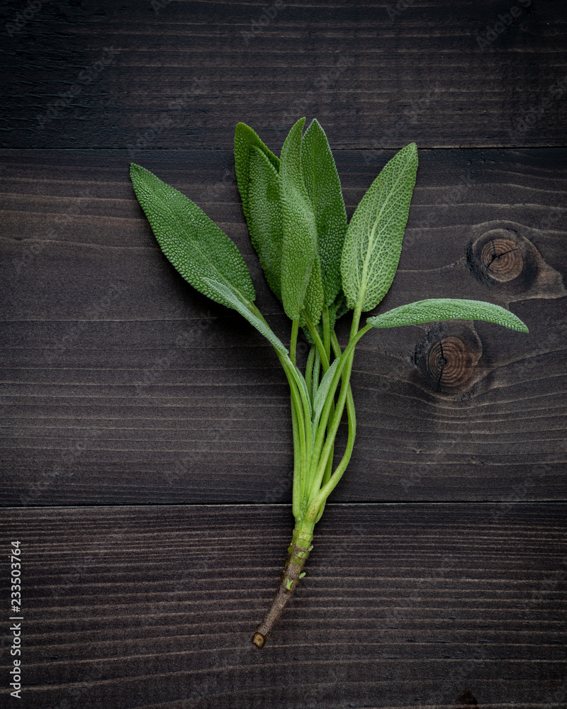 Closeup fresh sage leaves on dark wooden background. Closeup fresh sage leaves on dark wooden background.