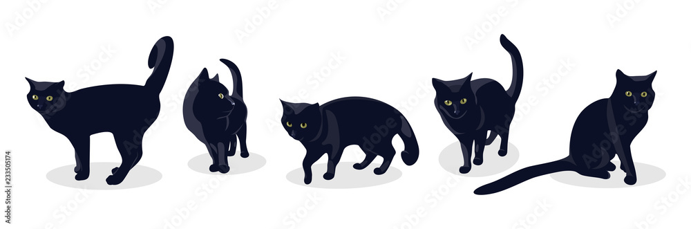 Fototapeta Czarny kot w różnych pozach, na białym tle. Zestaw sylwetki czarnego kota