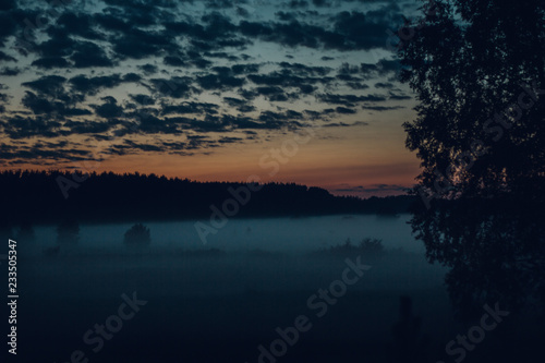 Fototapeta Naklejka Na Ścianę i Meble -  Sunrise Sunset Nature fog foggy forest morning