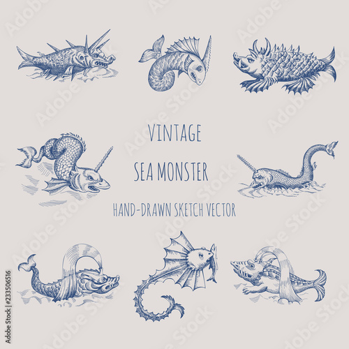 Mythological vintage sea monster. Fragment of old pirate map. Hand drawn vector sketch.