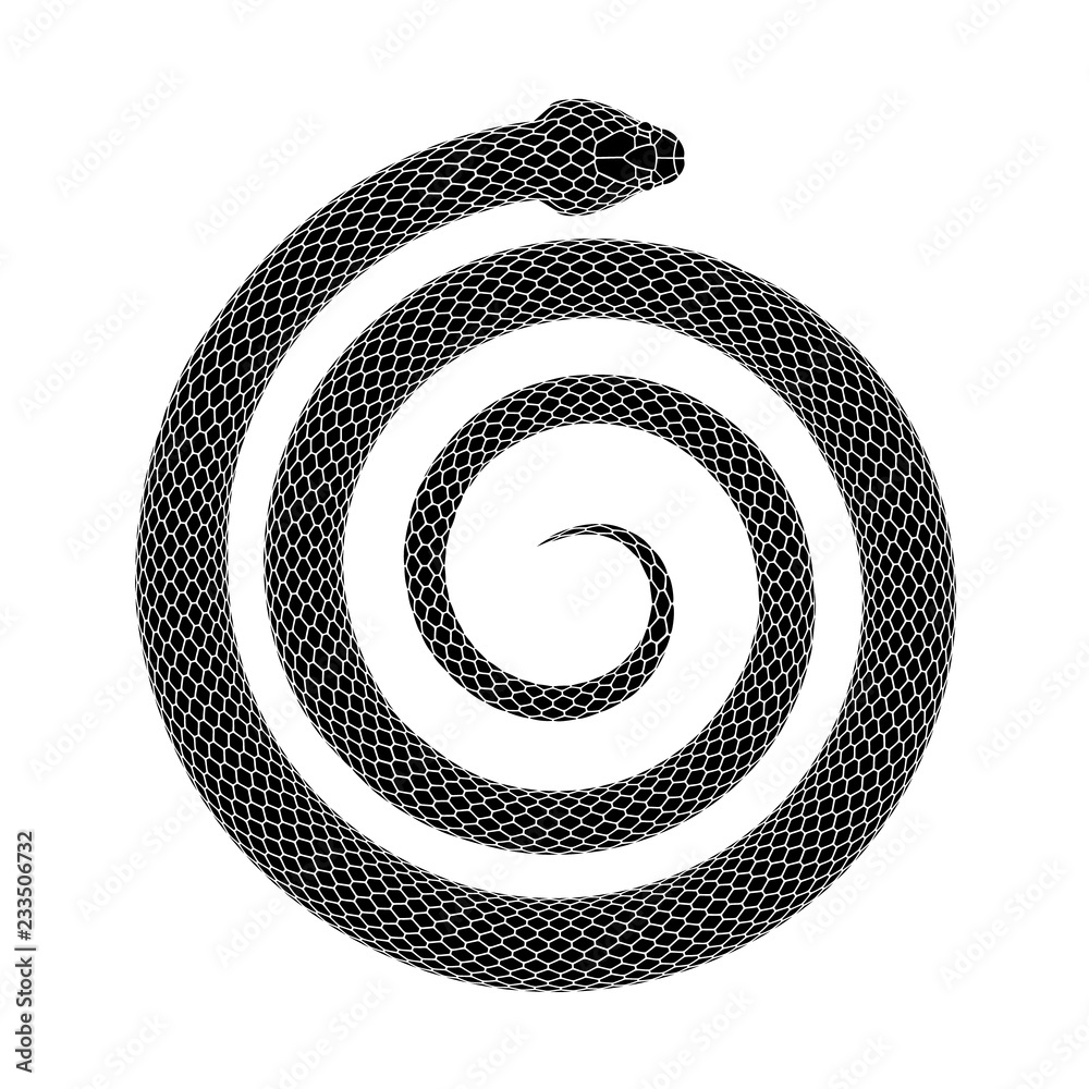 Obraz premium Wektor wzór tatuażu węża zwiniętego w kształt spirali.