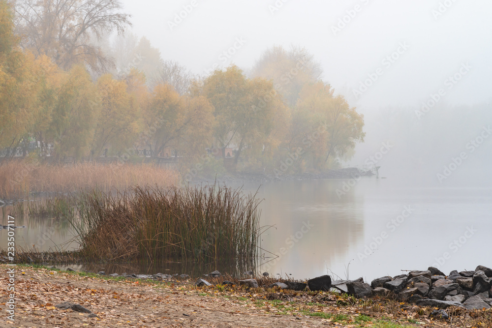 Reeds and trees close to the Dnieper river in Kiev, Ukraine. A soft autumn morning, mist over the cold and calm water. The landscape disappears in the distance Reeds and trees close to the Dnieper river in Kiev, Ukraine. A soft autumn morning, mist over the cold and calm water. The landscape disappears in the distance