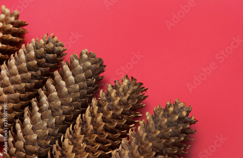 Pinecones on colorful background. 