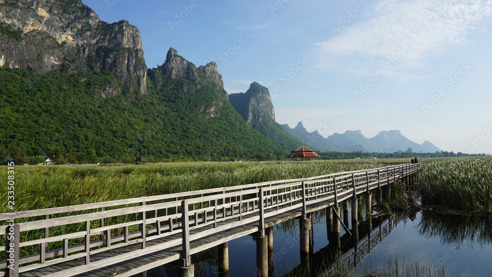 bridge over the river