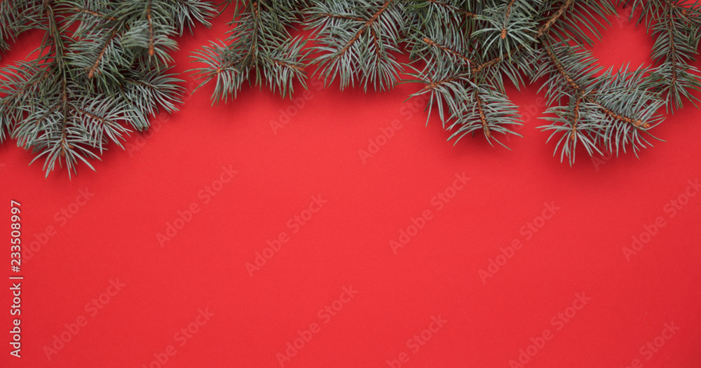Pine's branches on red background.
Pine's branches on red background.
