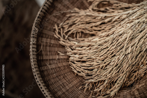 Thai rice paddy on wickerwork