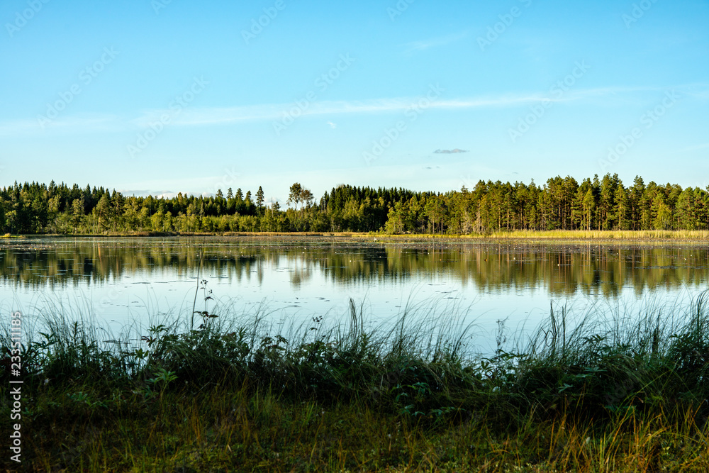 Beautiful view across a lake with still water surrounded by a green forest Beautiful view across a lake with still water surrounded by a green forest