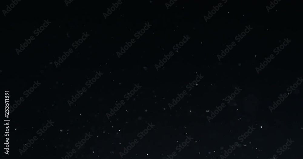 Natural organic dust particles fly in the air on dark background