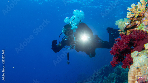 scuba diver and coral