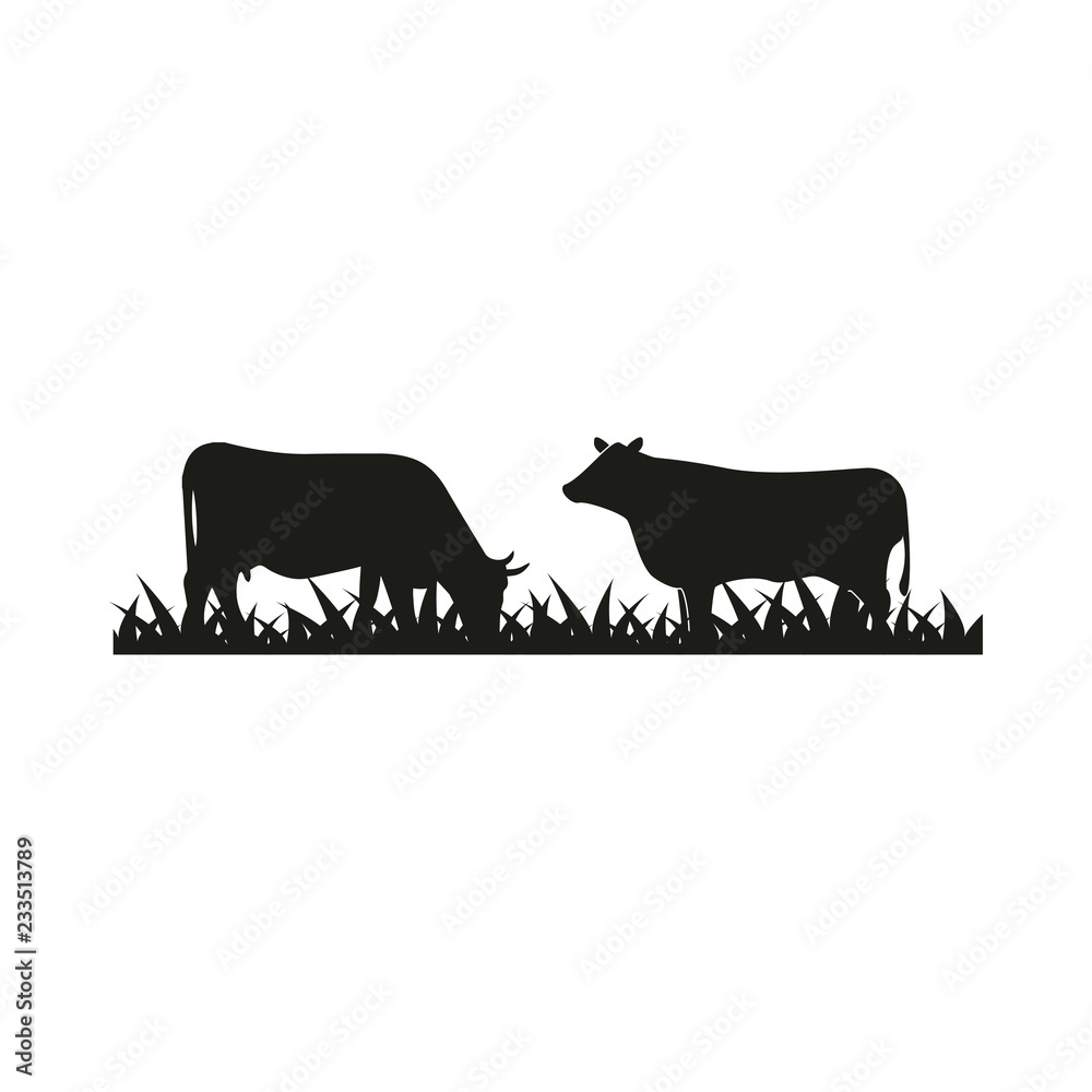 Cattle silhouette graphic design template vector illustration Cattle silhouette graphic design template vector illustration