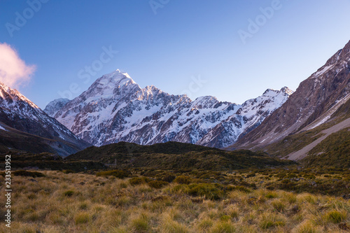 Aoraki Mount Cook during the dawn with the golden grass as a foreground  Canterbury  New Zealand