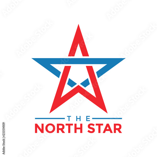 The north star graphic design template vector illustration