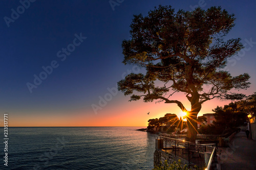 le soleil se lève  photo