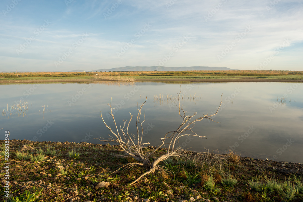 The Guadiana river next to the tables of daimiel The Guadiana river next to the tables of daimiel