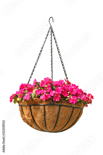 Hanging basket of beautiful flowers isolated on white background